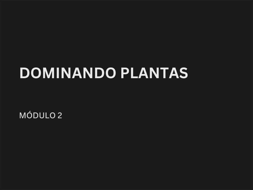 de servente à mestre de obras como se tornar mestre de obras